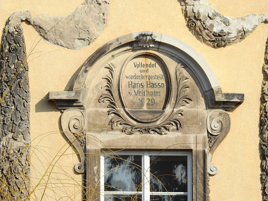 Winterlinge bei Schloss Ostrau