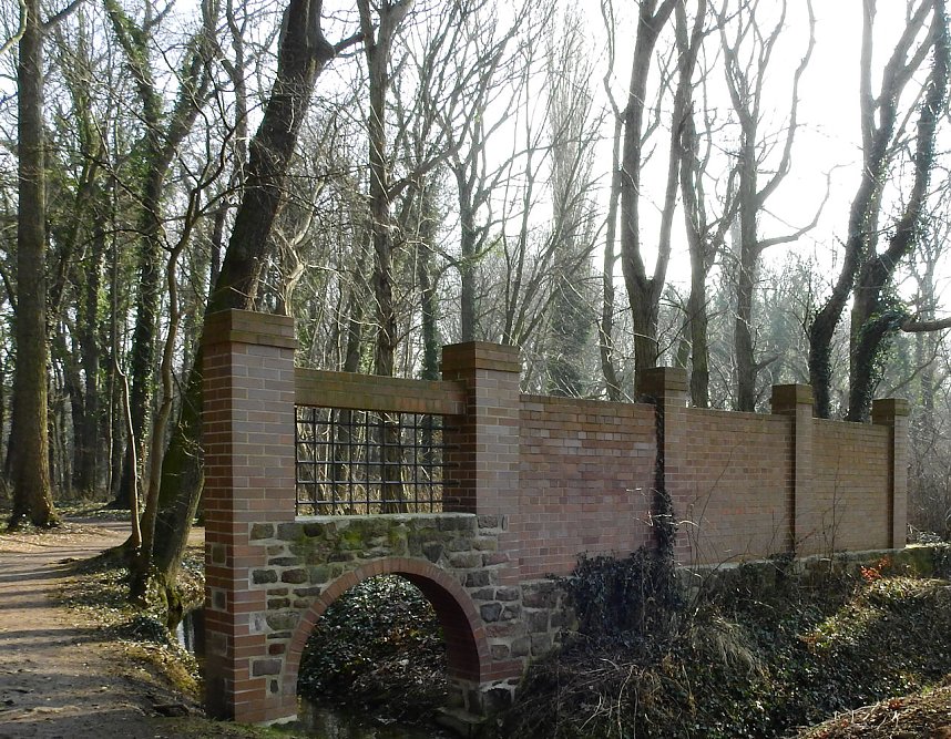 Winterlinge bei Schloss Ostrau