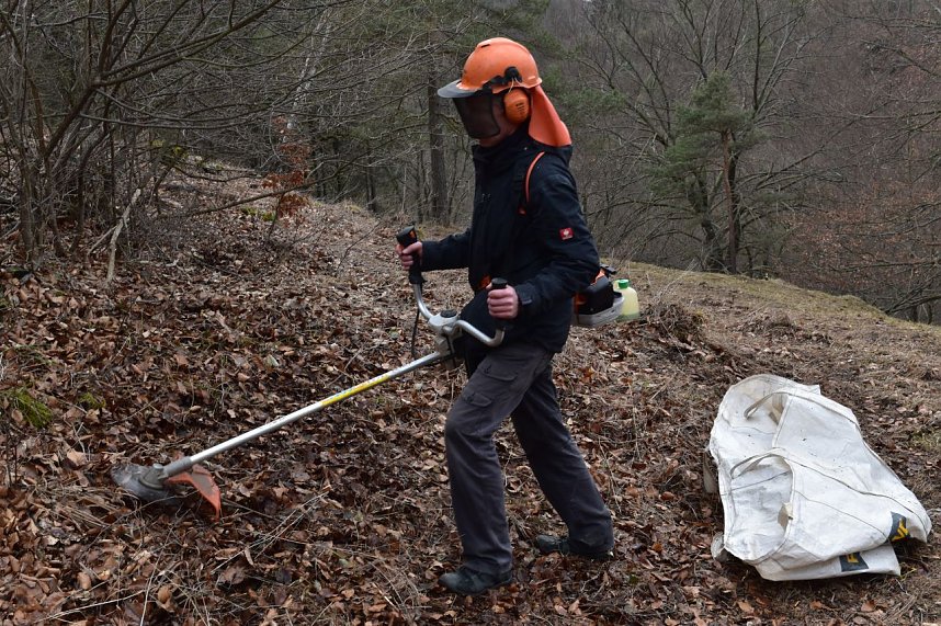 Im Hotspot der Artenvielfalt