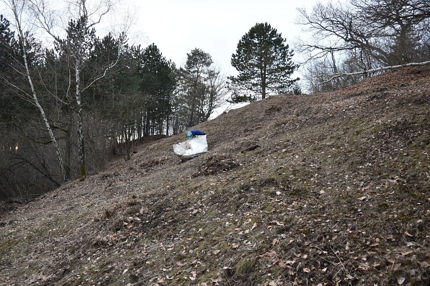 Im Hotspot der Artenvielfalt