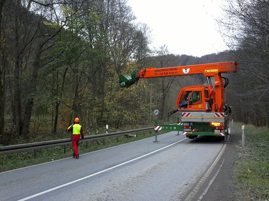 Holzeinschlag im Schuhmannstal