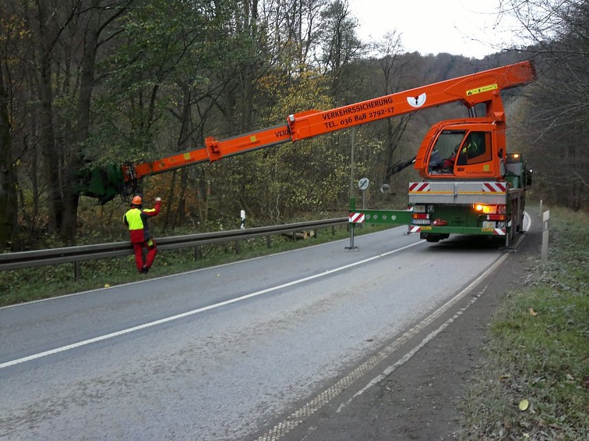 Holzeinschlag im Schuhmannstal