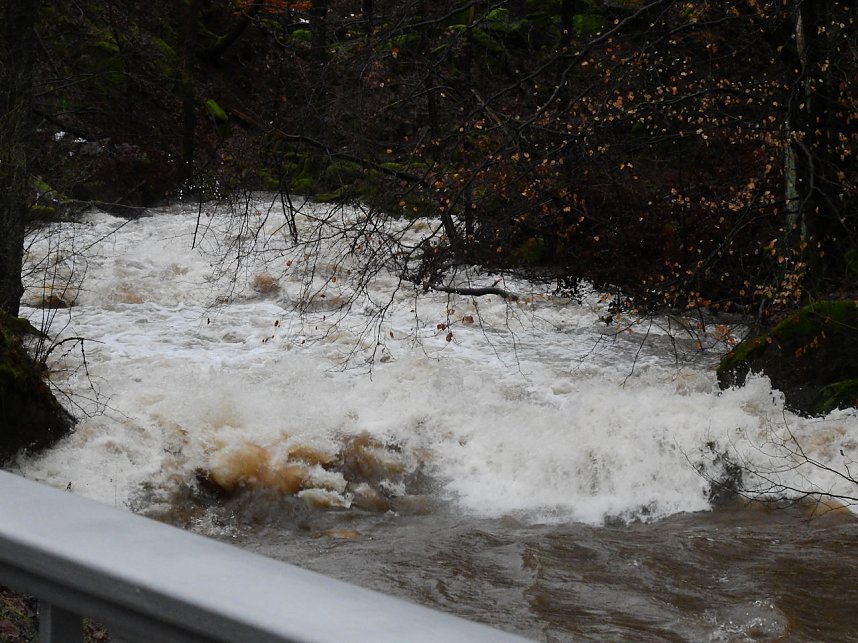 Die Bere f&uuml;hrt Hochwasser