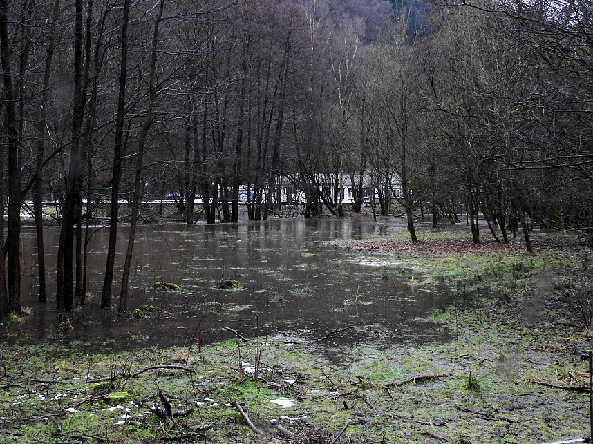 Die Bere f&uuml;hrt Hochwasser