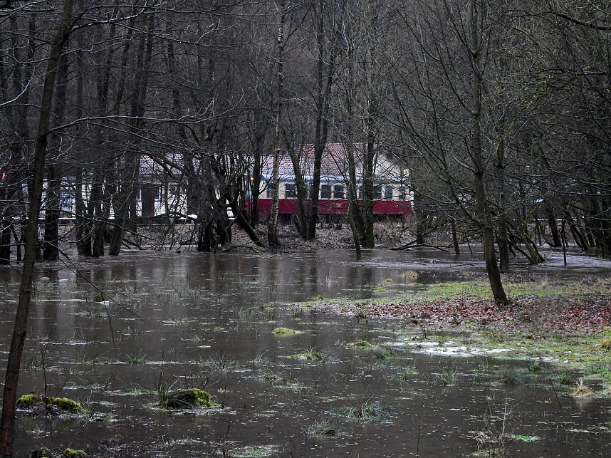 Die Bere f&uuml;hrt Hochwasser