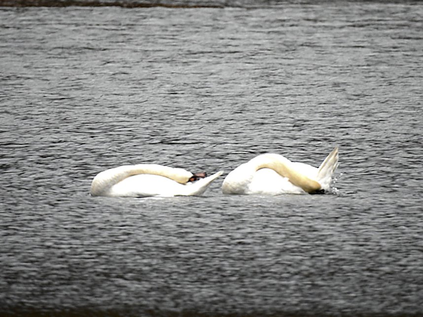 Fr&uuml;hlingsgef&uuml;hle