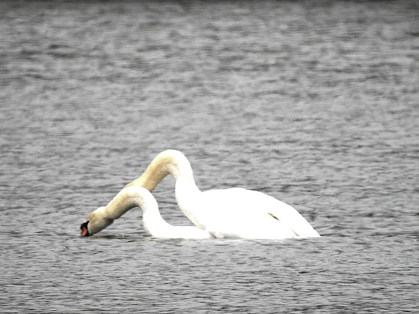 Fr&uuml;hlingsgef&uuml;hle