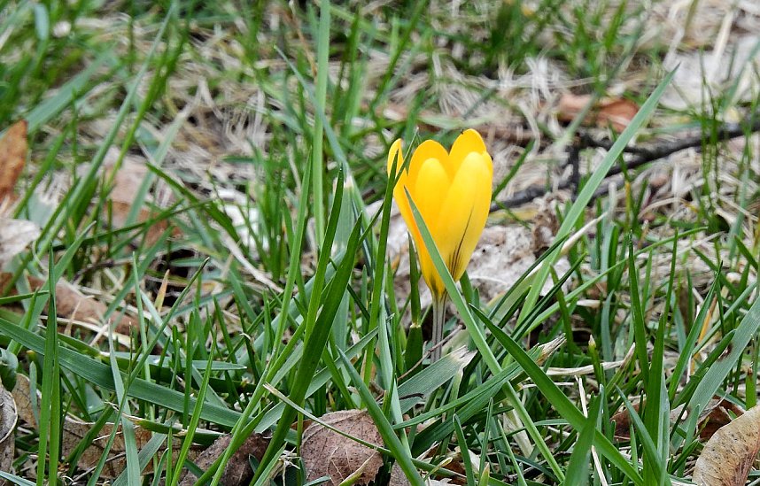 Spuren des Fr&uuml;hlings