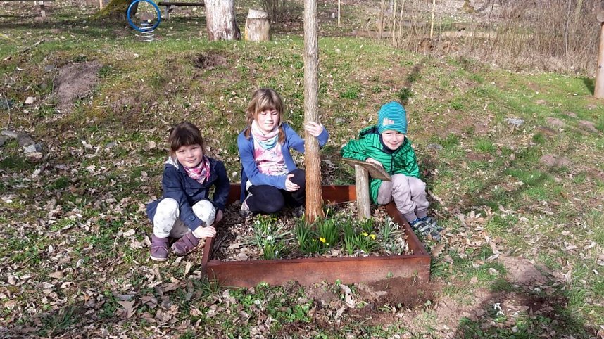 Fr&uuml;hling im Ahornpark