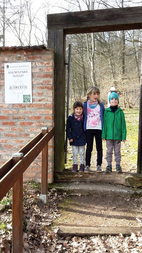 Fr&uuml;hling im Ahornpark