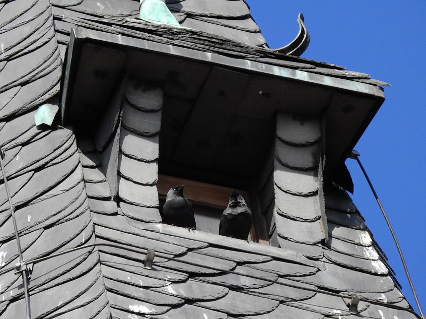 Peter Blei in Bad D&uuml;ben