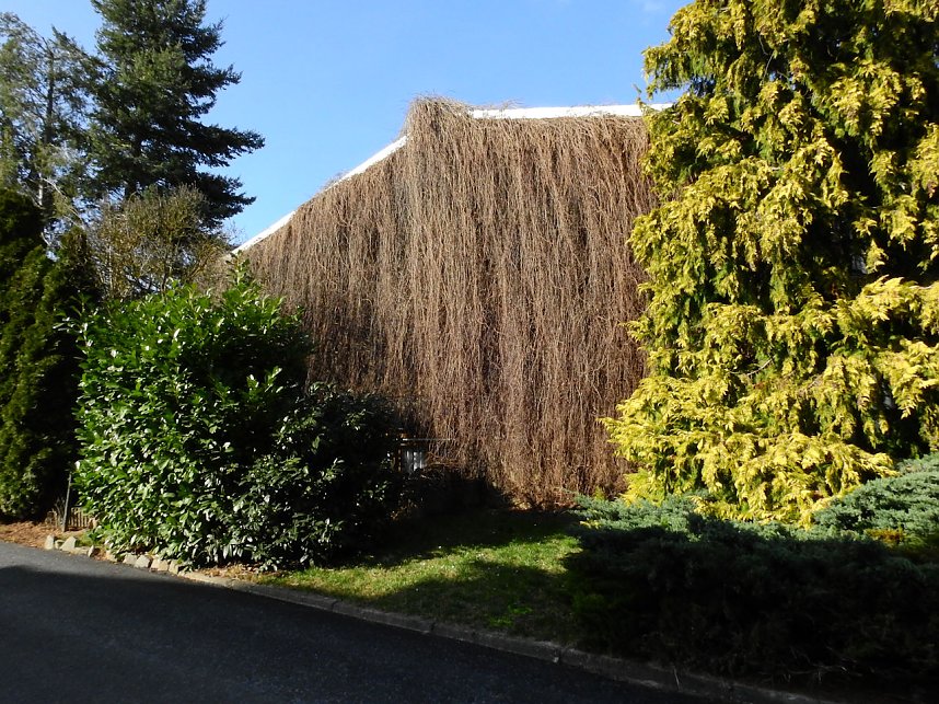 Peter Blei in Bad D&uuml;ben