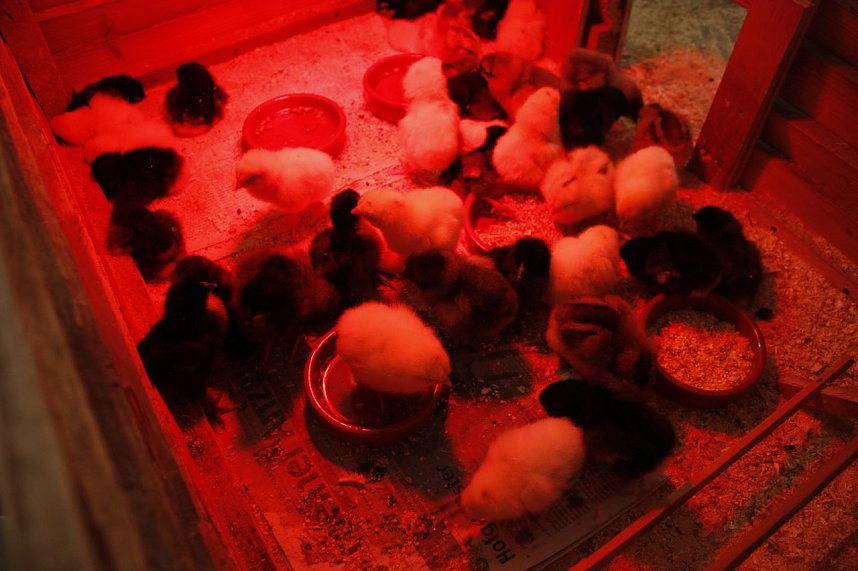 22. Nordth&uuml;ringer Fr&uuml;hlingsball