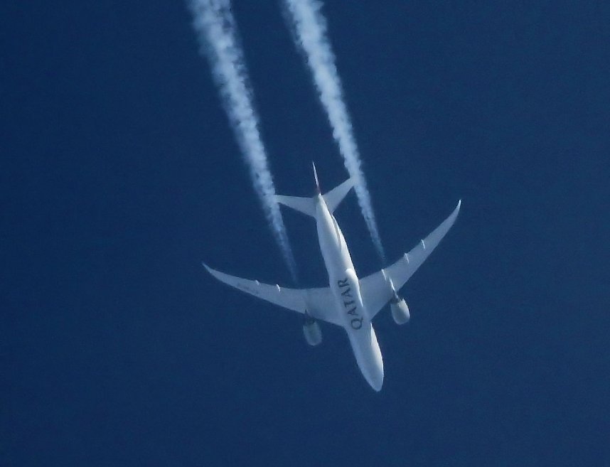 Die Natur erwacht am Rande der Stadt