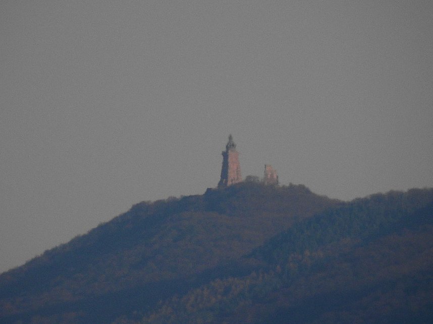 Die Natur erwacht am Rande der Stadt
