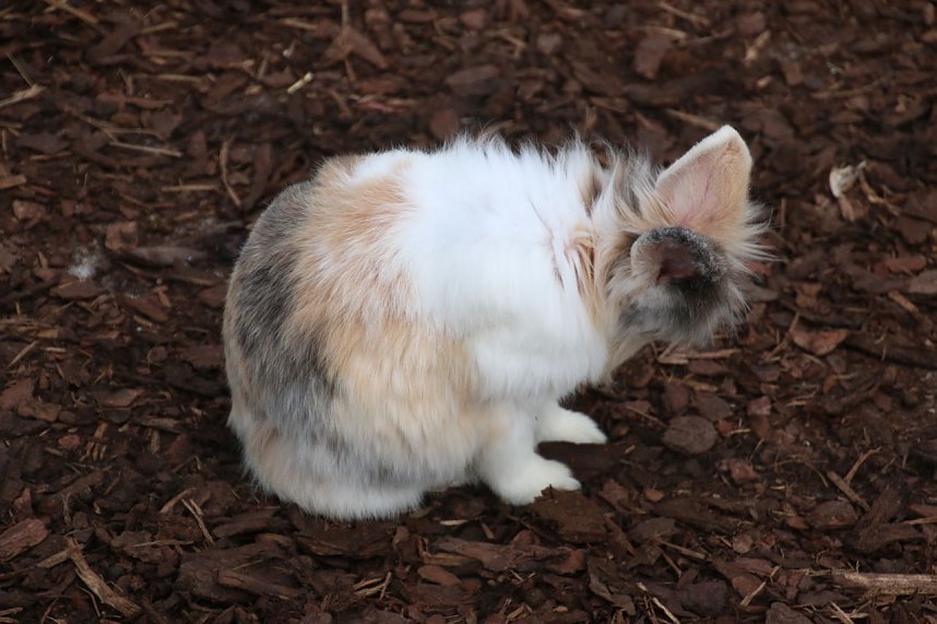 Besuch auf dem Possen