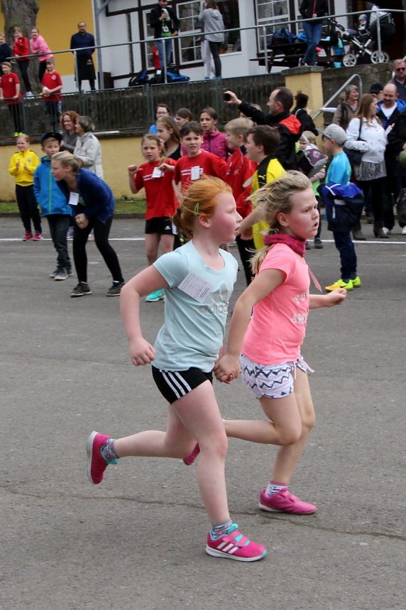 Fr&uuml;hjahrscrosslauf im Gehege