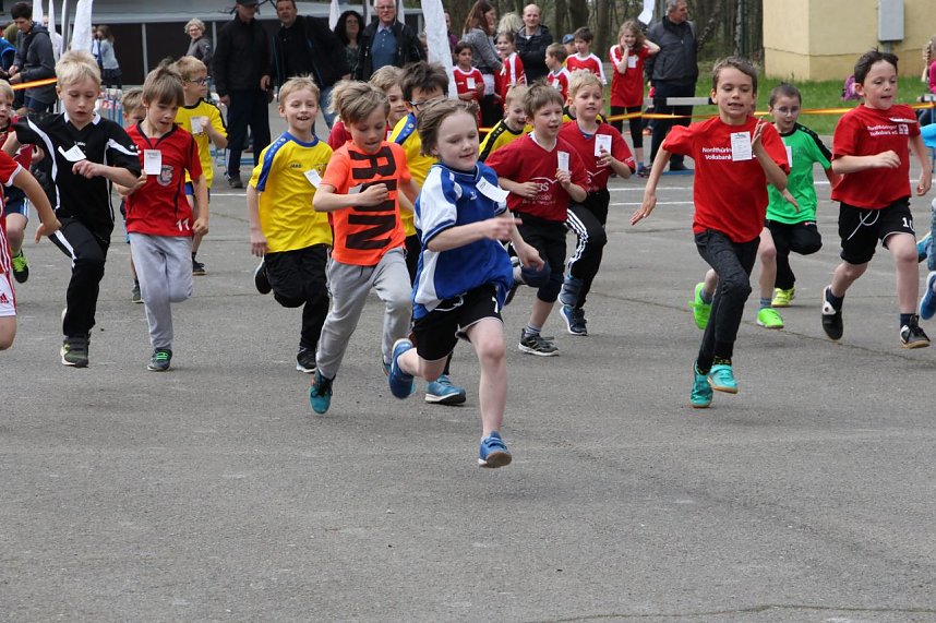 Fr&uuml;hjahrscrosslauf im Gehege