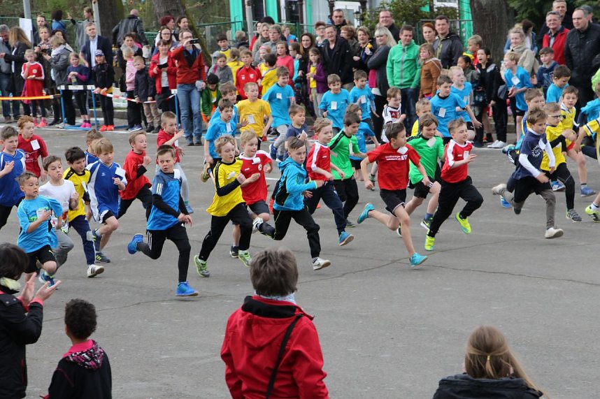 Fr&uuml;hjahrscrosslauf im Gehege