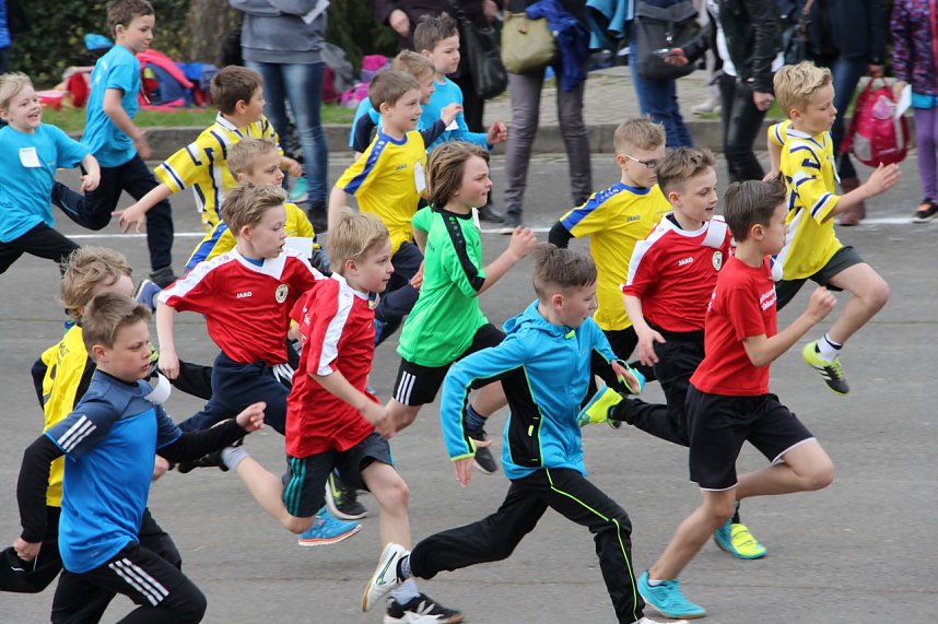 Fr&uuml;hjahrscrosslauf im Gehege