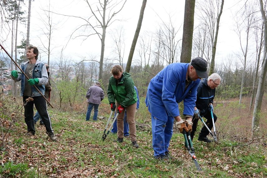 Fr&uuml;hjahrsputz in Harztor
