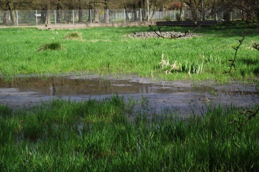 Wasser f&uuml;r das Feuchtbiotop. Fr&ouml;sche und Kr&ouml;ten k&ouml;nnen sich wieder freuen.