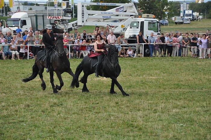 Kampf der Giganten Sundhausen