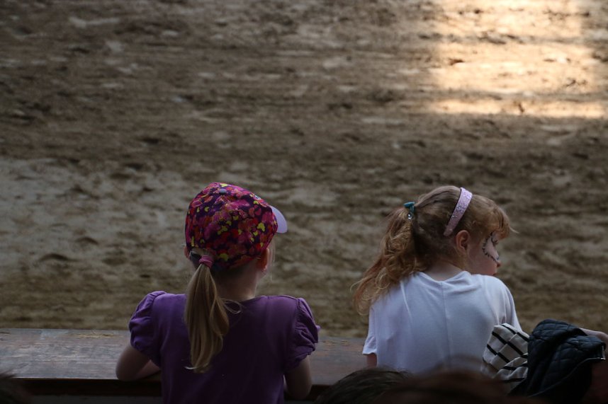 Hoffest in Wollersleben