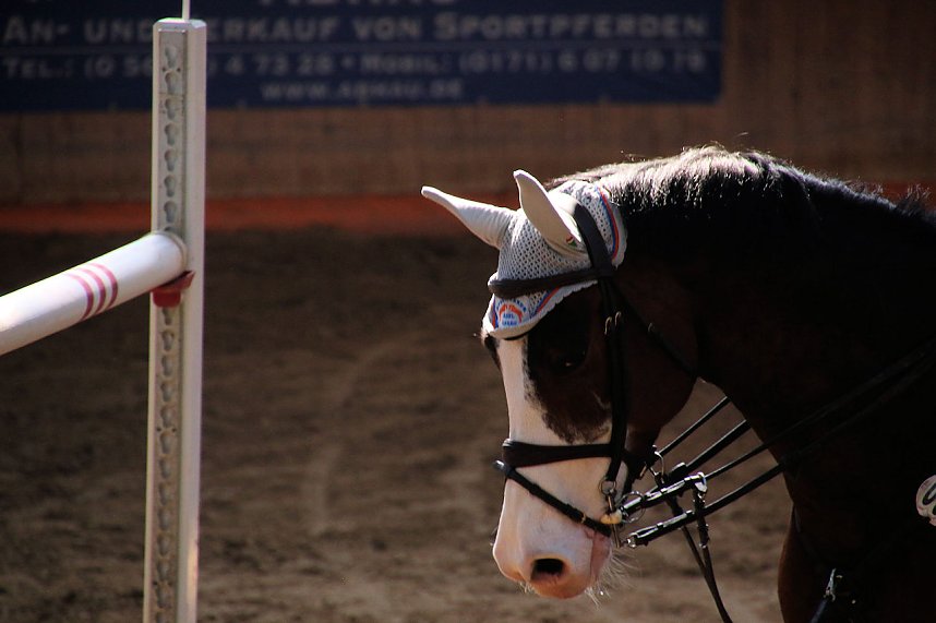 Hoffest in Wollersleben