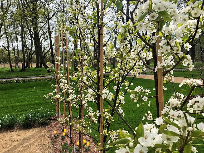 Auf Info-Tour in Apolda