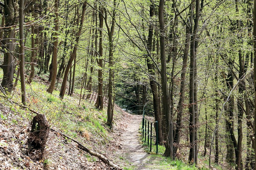 Peter Blei unterwegs in Stolberg