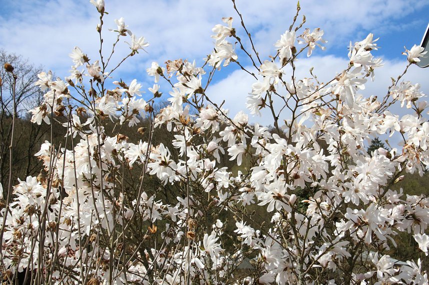 Peter Blei unterwegs in Stolberg