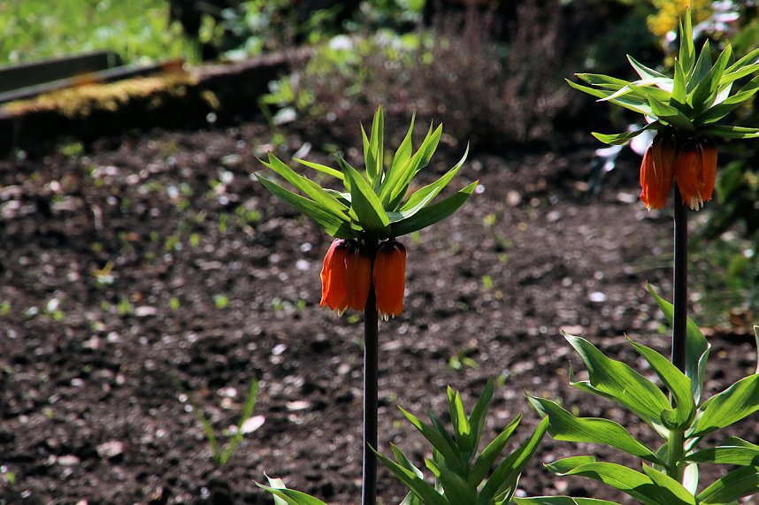 Peter Blei unterwegs in Stolberg