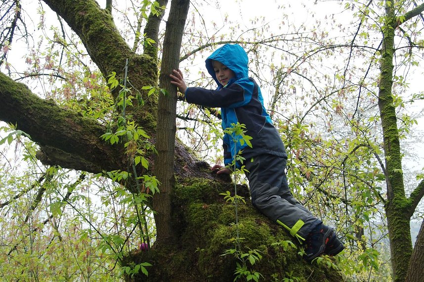 Ostereiersuche im Ahornpark