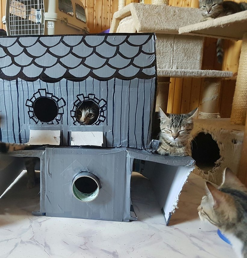 Fr&uuml;hlingsfest im Tierschutzhaus