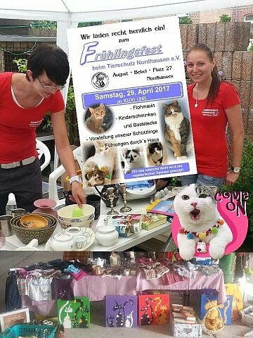 Fr&uuml;hlingsfest im Tierschutzhaus