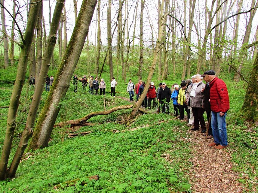 Bergmannsverein St. Barbara wanderte in Ilfeld