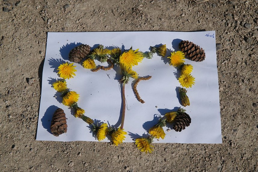 Kita und Grundschule sind "Haus der kleinen Forscher"
