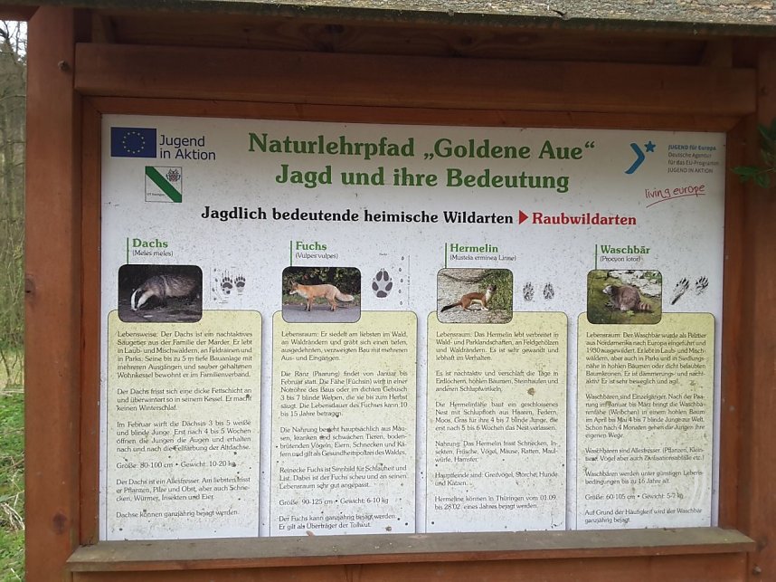 Stadtwald Heringen - die Gr&uuml;ne Lunge der Goldenen Aue