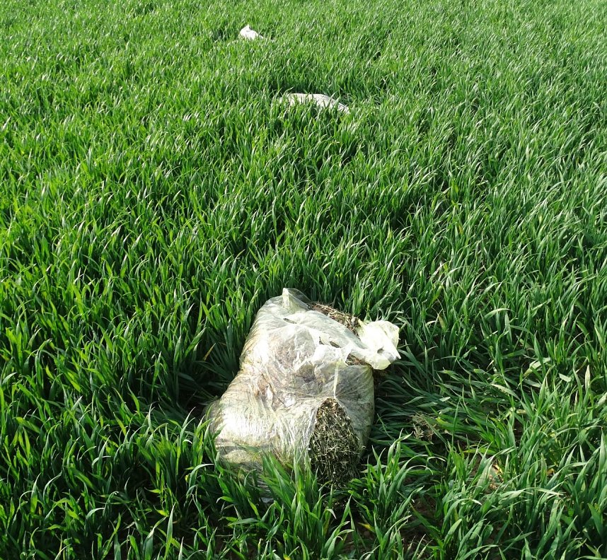 Illegale Entsorgung am Wanderweg