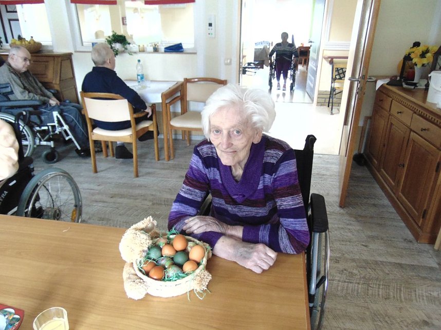 Neues aus dem Sonnenhof