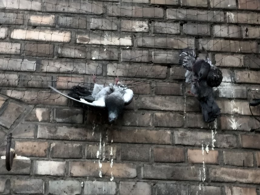 Hier muss gehandelt werden