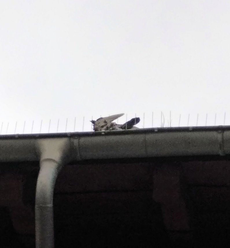 Hier muss gehandelt werden