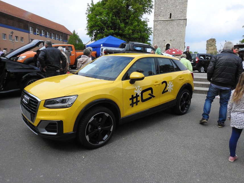 Autofr&uuml;hling auf dem Petersberg