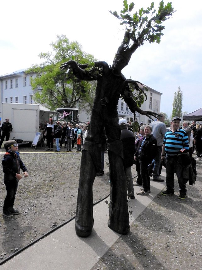Autofr&uuml;hling auf dem Petersberg
