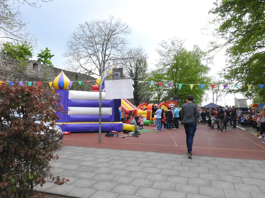 Autofr&uuml;hling auf dem Petersberg