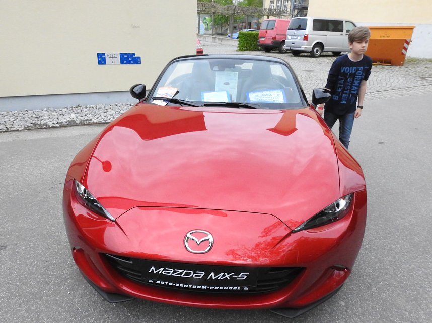 Autofr&uuml;hling auf dem Petersberg