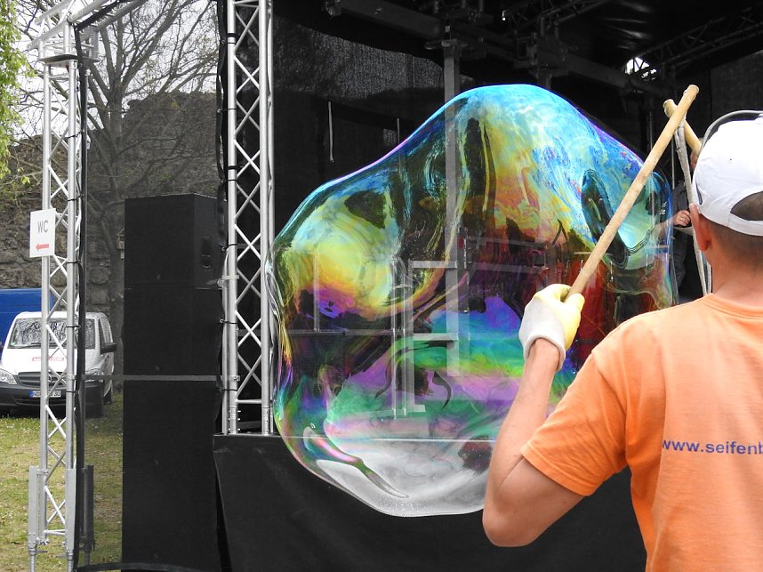 Autofr&uuml;hling auf dem Petersberg