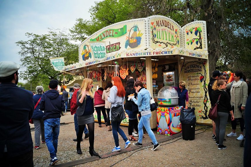 22. Autofr&uuml;hling