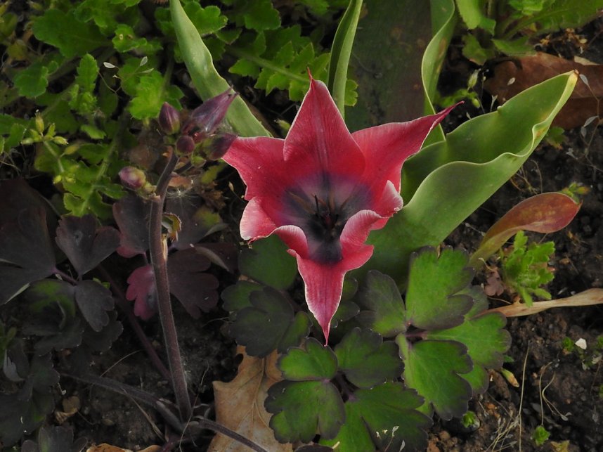 Farbtupfer auf dem Petersberg